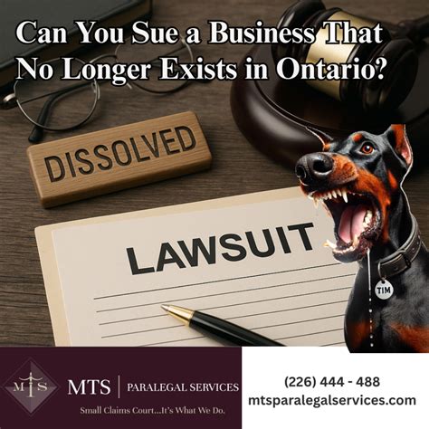 Sue a Business That No Longer Exists: How to Navigate Dissolved ... - balustradellc