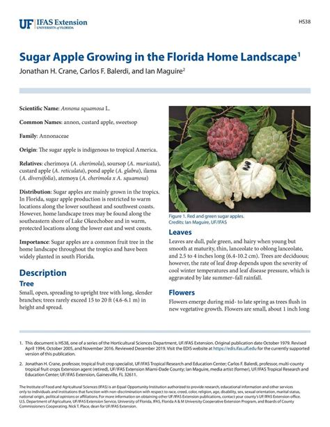 Sugar Apple Growing in the Florida Home Landscape - raincitystudios.com