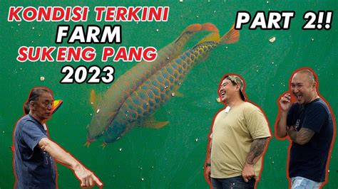 SUK ENG PANG - LEGEND AND OLDEST ARWANA FARM IN … - balustradellc