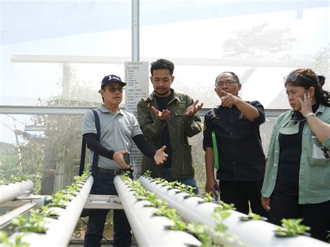 Sukses Bertani Hidroponik di Dataran Tinggi - balustradellc