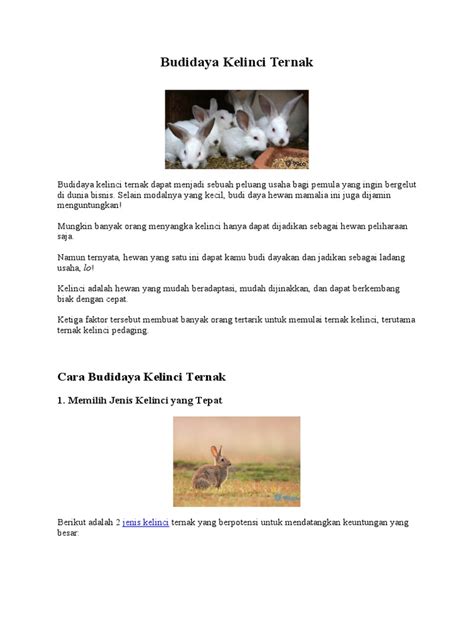 Sukses budidaya kelinci | PPTX - SlideShare - balustradellc