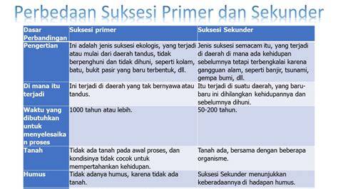 Suksesi Primer dan Sekunder - EDUBIO - raincitystudios.com