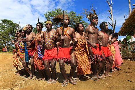 Suku Arfak - Wikipedia bahasa Indonesia, ensiklopedia … - balustradellc