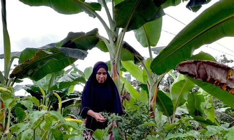 Suku Balik - Wikipedia bahasa Indonesia, ensiklopedia bebas - wintechmobiles.com