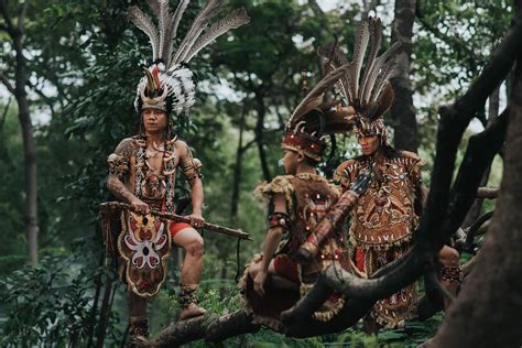 Suku Dayak - Wikipedia bahasa Indonesia, ensiklopedia … - muktibox.com
