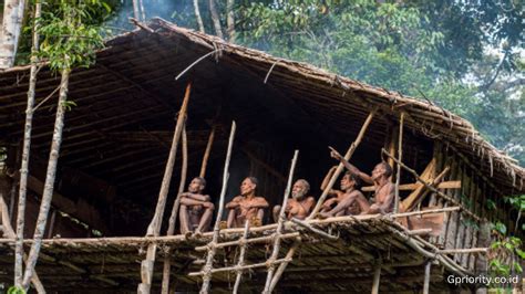 Suku Korowai Berasal Dari - balustradellc