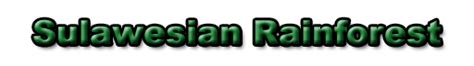 Sulawesian Rainforest - terrestrial - raincitystudios.com