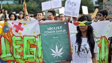 Sulitnya Legalisasi Ganja untuk Medis di Indonesia yang Terganjal UU ... - balustradellc
