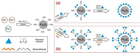 SULPHONIC ACIDS SUPPORTED ON Fe3O4/PVA MAGNETIC - wintechmobiles.com