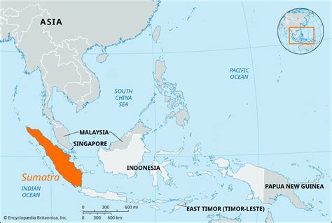 Sumatra | WWF - balustradellc