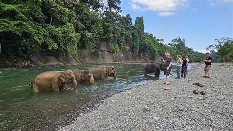 SUMATRA WILDLIFE SANCTUARY - raincitystudios.com