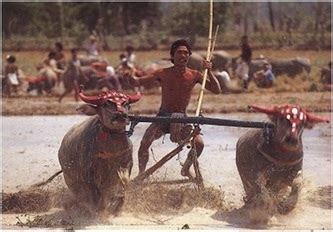 Sumbawa culture - Indocasa Properties - wintechmobiles.com