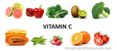 Sumber Vitamin C Tertinggi - muktibox.com