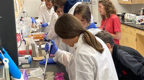 Summer Camps for Science and Technology - Marin … - raincitystudios.com