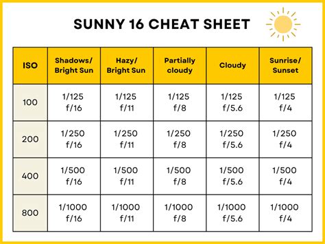 Sunny 16 Rule for Film Photography Without a Light Meter - balustradellc