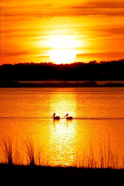 Sunset Photography Complete Guide for Photographers - Skylum - balustradellc