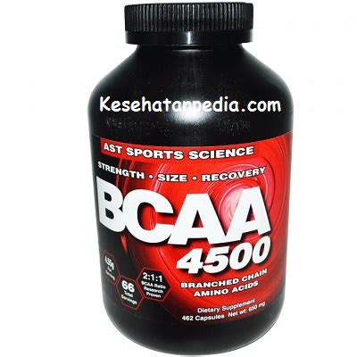 Suplemen Fitnes untuk Pemula Terbaik yang Cocok - balustradellc