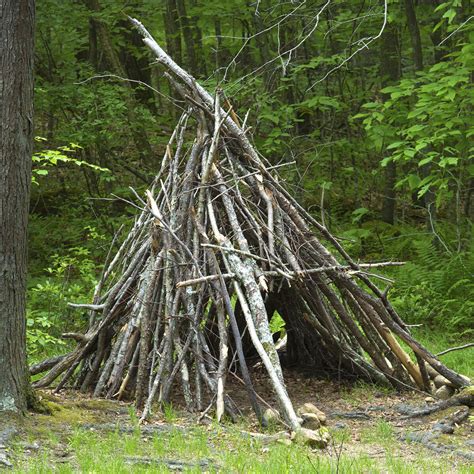Supplies You Need to Build Primitive Survival Shelter - balustradellc