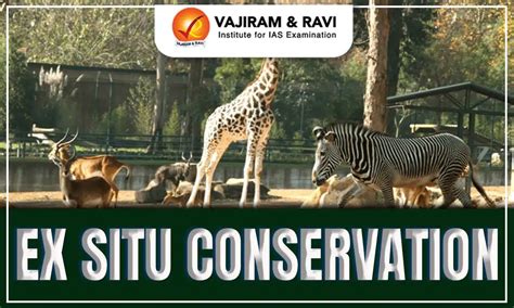 Supporting ex situ conservation - Asian Wild Cattle - muktibox.com