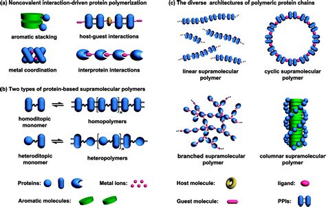 Supramolecular polymers: Recent advances based on the types of ... - wintechmobiles.com