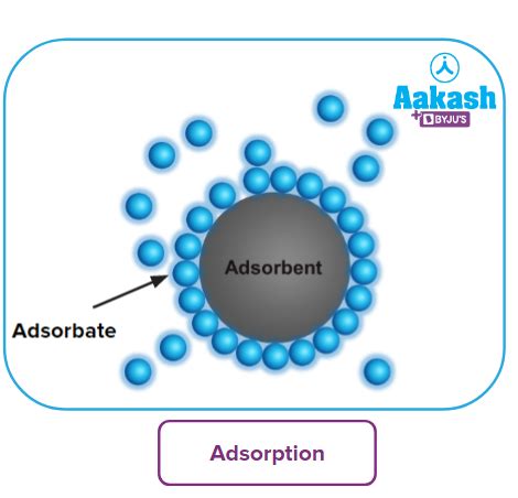 Surface Adsorption - ScienceDirect - wintechmobiles.com