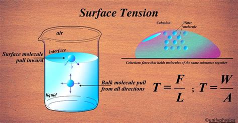 Surface Tension | Brilliant Math & Science Wiki - wintechmobiles.com
