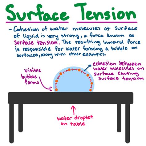 Surface Tension | Definition, Calculation & Examples - wintechmobiles.com