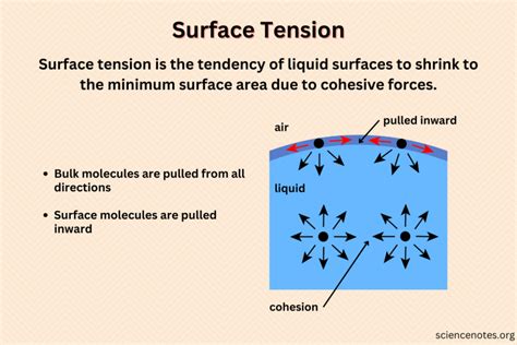 Surface Tension Formula: Explanation, Examples, and ... - Collegedunia - wintechmobiles.com