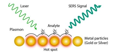 Surface-Enhanced Raman Spectroscopy for Biomedical ... - PubMed - wintechmobiles.com