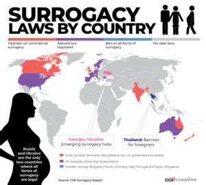 Surrogacy Laws Worldwide: How Different Countries … - balustradellc