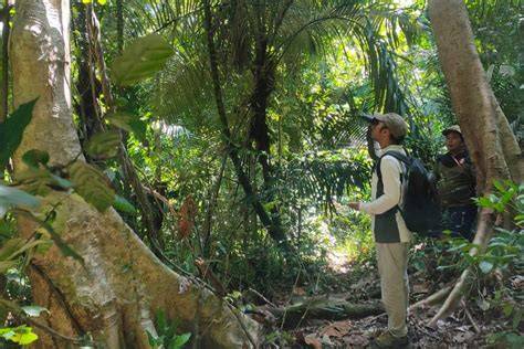 Survei hutan lindung pesisir - vietnam.vn - raincitystudios.com