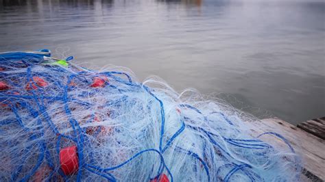 Survival Fishing: How a Gill Net Could Save Your Life - balustradellc