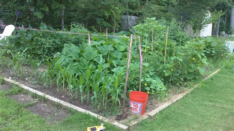 Survival Garden - Organic Gardening for Beginners - balustradellc