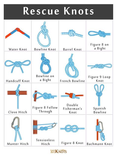 Survival Knots: Essential Ties for Shelter and Rescue - balustradellc