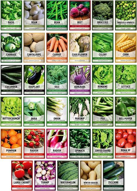 Survival Seed Vault - 20 Heirloom Varieties, Non-GMO … - balustradellc