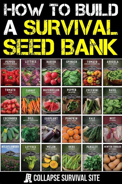 Survival Seeds For Preparedness – Things To Consider - balustradellc