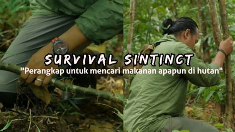 Survival Tips/Cara Mencari Makanan Di Hutan - balustradellc