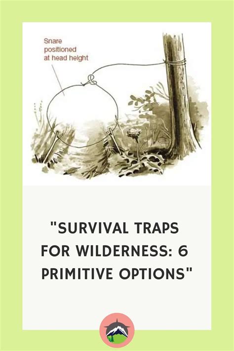 Survival Trap and Snare Techniques | PDF | Trapping - balustradellc