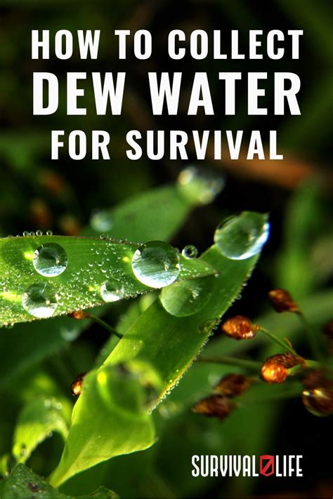 Survival Water Purification Collecting Dew - balustradellc