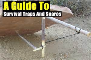 Survivalists Guide to Survival traps and snares - balustradellc
