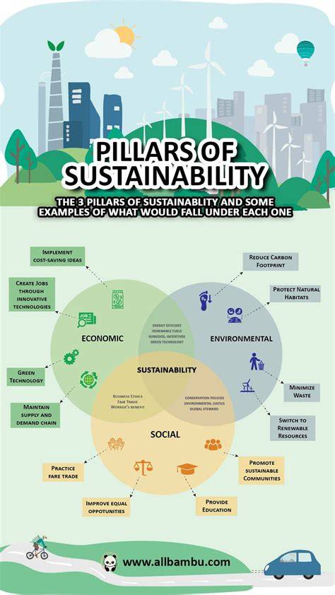 Sustainability can also be versatility. #Shorts #we.are.sieme - raincitystudios.com