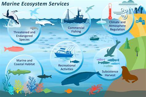 Sustainability in Marine Conservation Ecology - Frontiers - raincitystudios.com