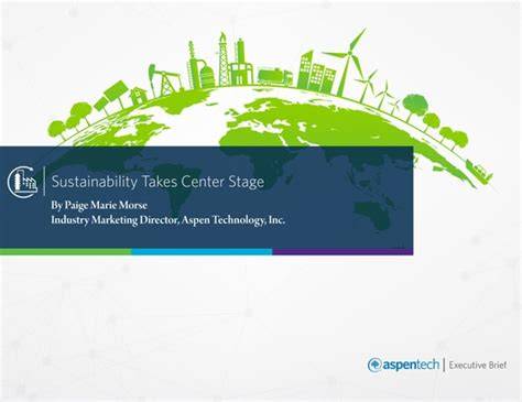 Sustainability Takes Center Stage at Concerts and Events - raincitystudios.com