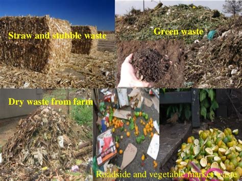 Sustainable agriculture and organic waste management - raincitystudios.com