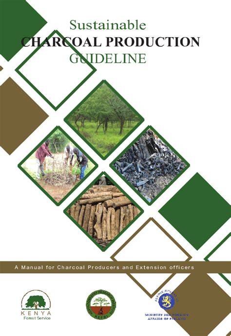 Sustainable Charcoal Production Guideline: A manual … - raincitystudios.com