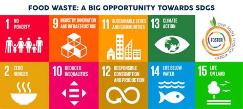 Sustainable development goals through reducing food loss and food waste ... - raincitystudios.com