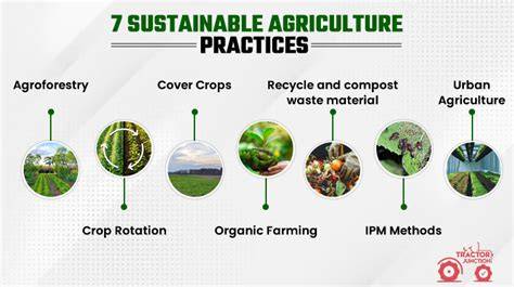 Sustainable Farming Techniques That Promote Recycling and Reduce Waste - raincitystudios.com