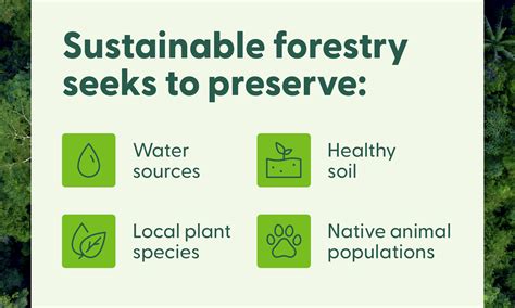 Sustainable Forestry Practices Impact in Wisconsin - muktibox.com