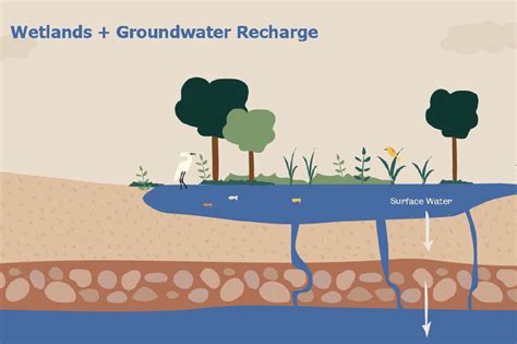 Sustainable Groundwater Recharge Practices - raincitystudios.com