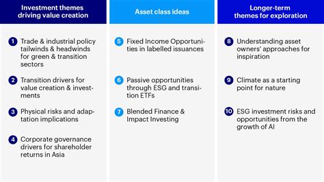 Sustainable Investing Outlook for 2025 - balustradellc